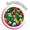 P00519 - Surodorant Fleurs Blanches 500cc DESODOR