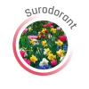 P01477 - Pack découverte surodorants KING