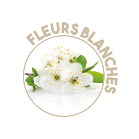 P01167 - Désodorisant Fleurs Blanches 750ml PUCK
