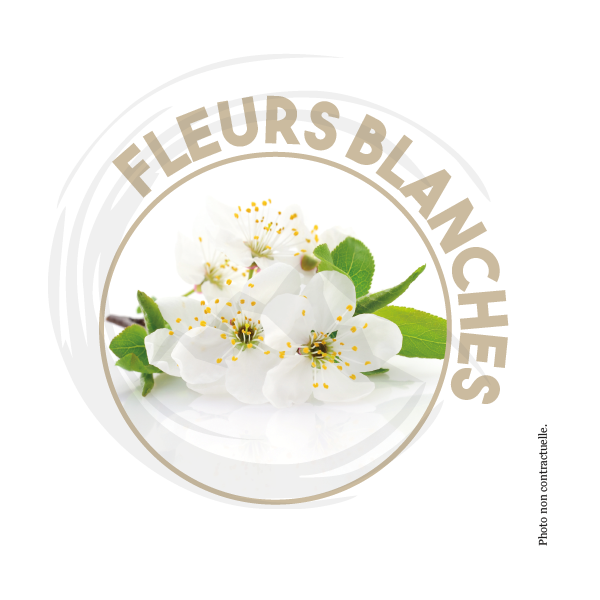 P01167 - Désodorisant Fleurs Blanches 750ml PUCK