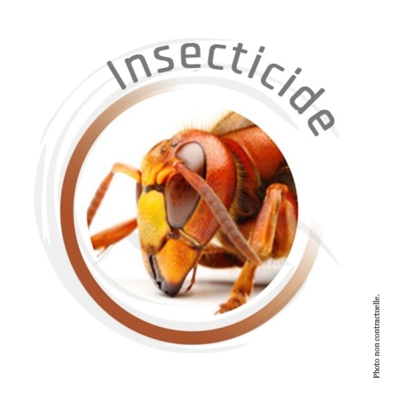 P01185 - Seringue insecticide Gel spécial blattes 10g KING