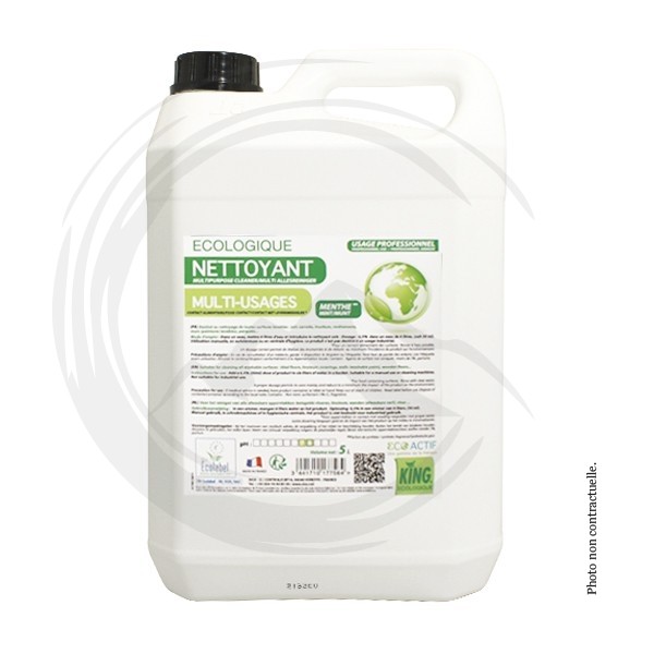 P01166 - * Nettoyant multi-usages Menthe Ecolabel 5L KING