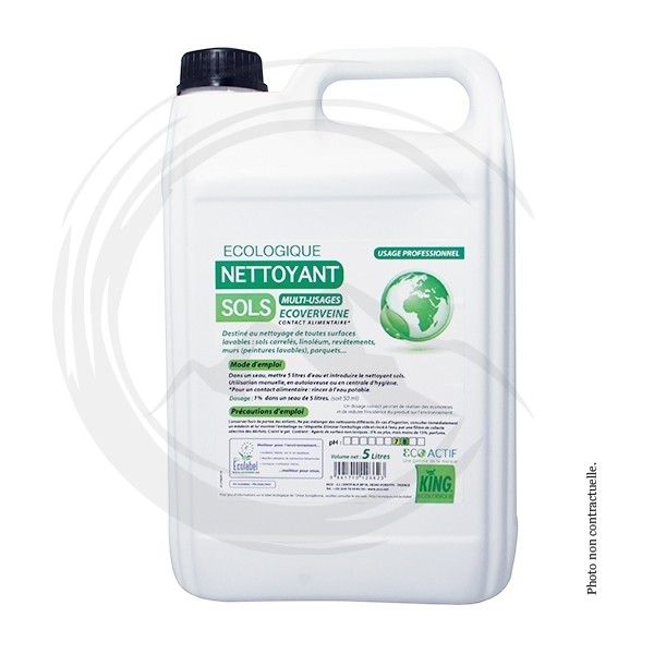 P00364 - * Nettoyant multi-usages Ecoverveine Ecolabel 5L KING