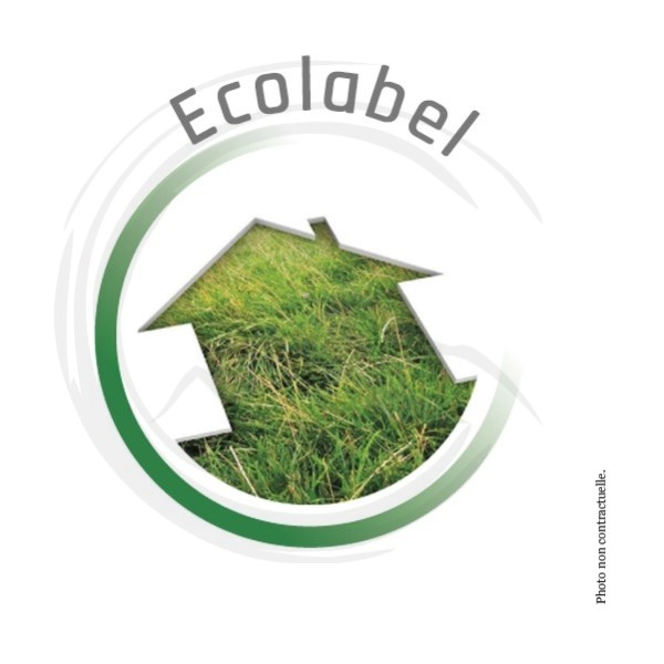 P01365 - Nettoyant Cerise multi-usages Ecolabel 5L KING