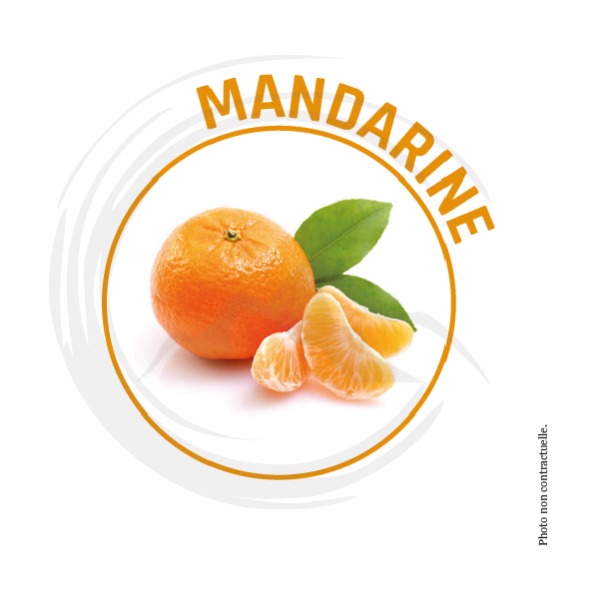 P00038 - *Désodorisant Mandarine 750ml PUCK