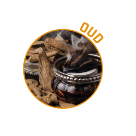 P00886 - Désodorisant d'ambiance Oud 400ml DESODOR