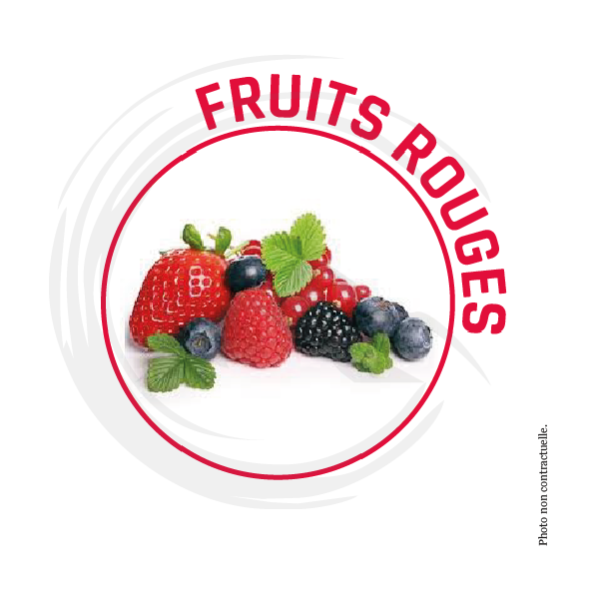 P00024 - Désodorisant d'ambiance Fruits Rouges 750ml DESODOR