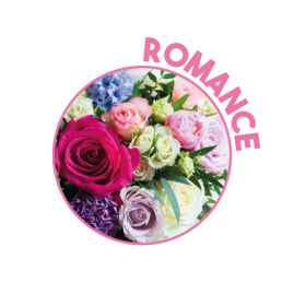 P01372 - Désodorisant Romance 400ml KING
