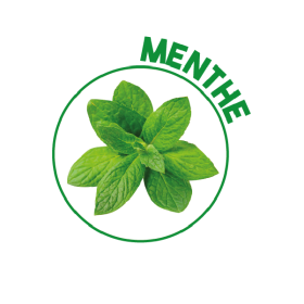P00067 - Recharge Assainisseur d'air Menthe 250ml KING