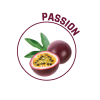 P00053 - Destructeur d'odeurs surpuissant Passion 750ml KING