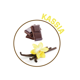 P00129 - Recharge désodorisant Kassia 250ml KING