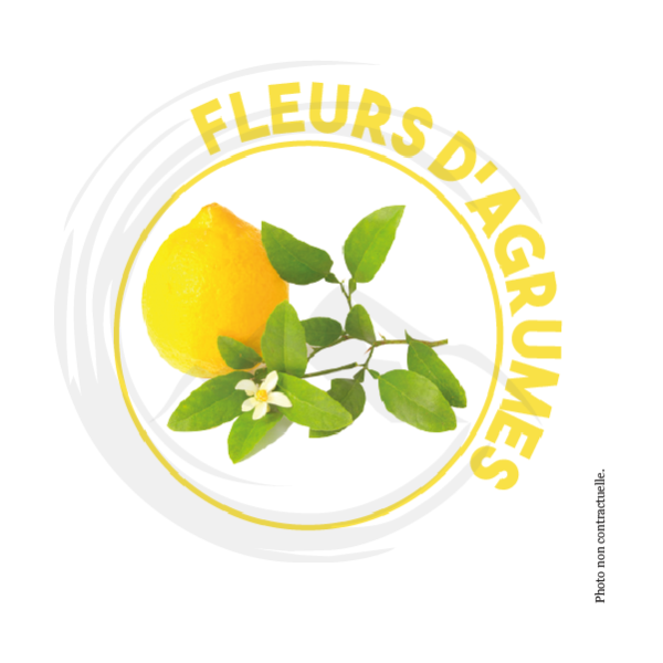 P01169 - Dose nettoyant Fleurs d'Agrumes multi-usages Ecolabel 20ml KING
