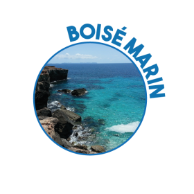 P01366 - Nettoyant Boisé Marin multi-usages Ecolabel 5L KING