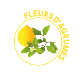 P01058 - Nettoyant Fleurs d'Agrumes multi-usages Ecolabel 5L KING