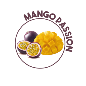 P00359 - Nettoyant Mango passion multi-usages Ecolabel 1L KING