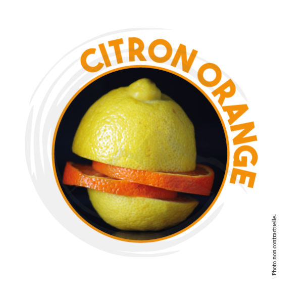 P01022 - * Détergent 2D Citron Orange 2L DESODOR