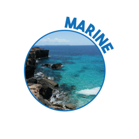 P00332 - Détergent 2D Marine 5L SOPROMODE