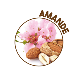 P00412 - Détergent 2D Amande 5L SOPROMODE