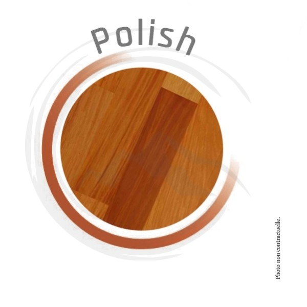 P00103 - Polish sans silicone Menthe 5L PUCK