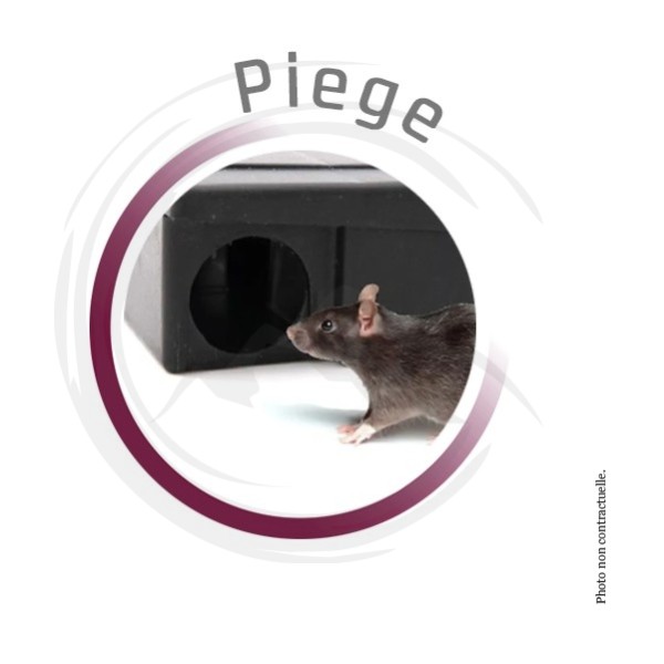 P00904 - Poste appats pour souris DIGRAIN