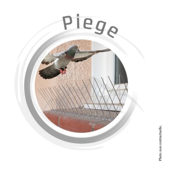 P01234 - Pics métalliques anti-pigeons (10 x 50cm) FIXMAN