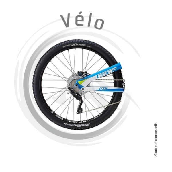 P00184 - Répare regonfle pneu vélo/vtt canule 75ml PUCK