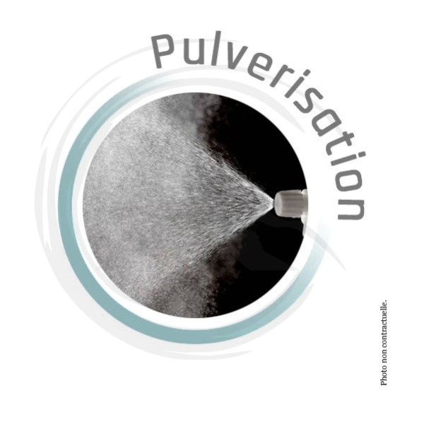 P01107 - Pulvérisateur à pression 2L