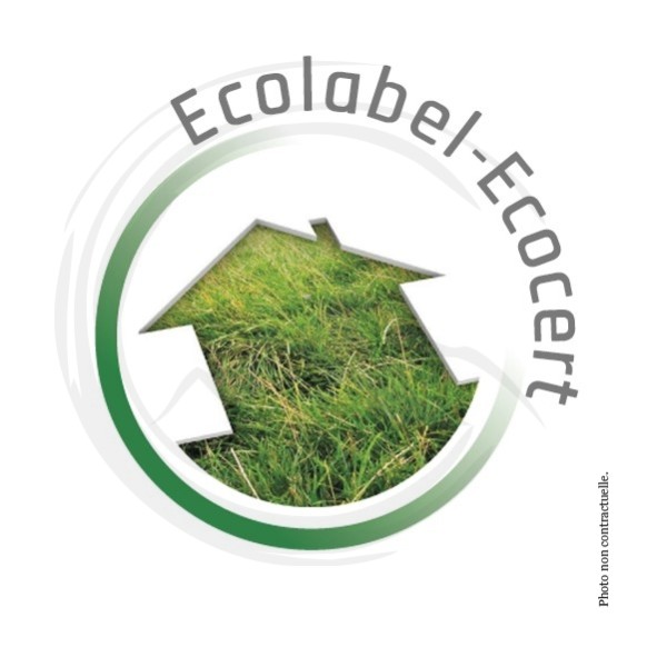P01411 - Bobine ouate blanche 450F Ecolabel X6