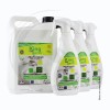 P01461 - Pack Flash Germ’ Acide lactique Ecocert KING