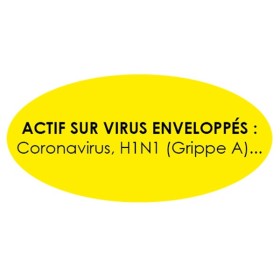P01389 - Flash Germ' Acide lactique PAE 5L KING