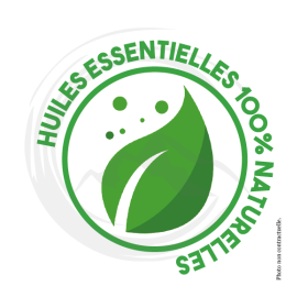 P00367 - Huiles essentielles 10 Purifiant Ecocert 100cc KING