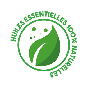 P01331 - Huiles essentielles 10' Tonique Ecocert 75cc KING