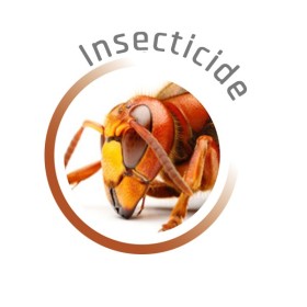 P01549 - Insecticide Polyvalent 400ml Quick