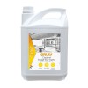 P01824 - Lavage four vapeur 5L ORLAV