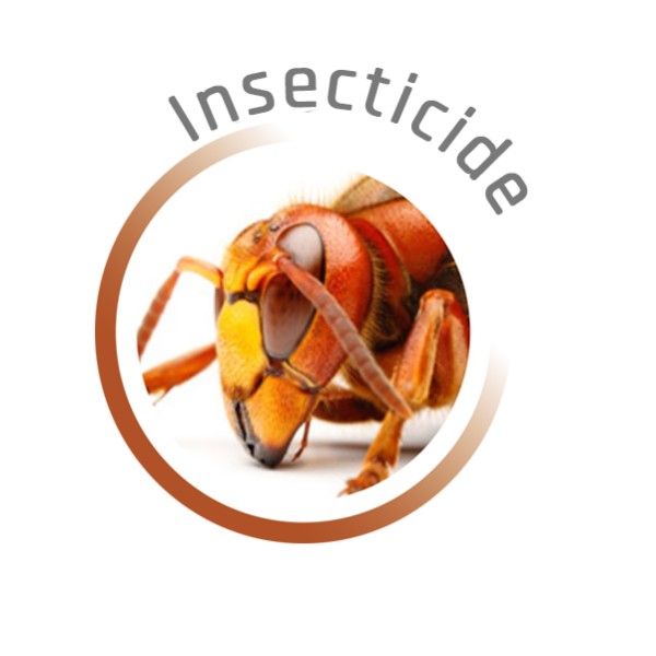 P02068 - Insecticide polyvalent fumigène 11g QUICK TECH