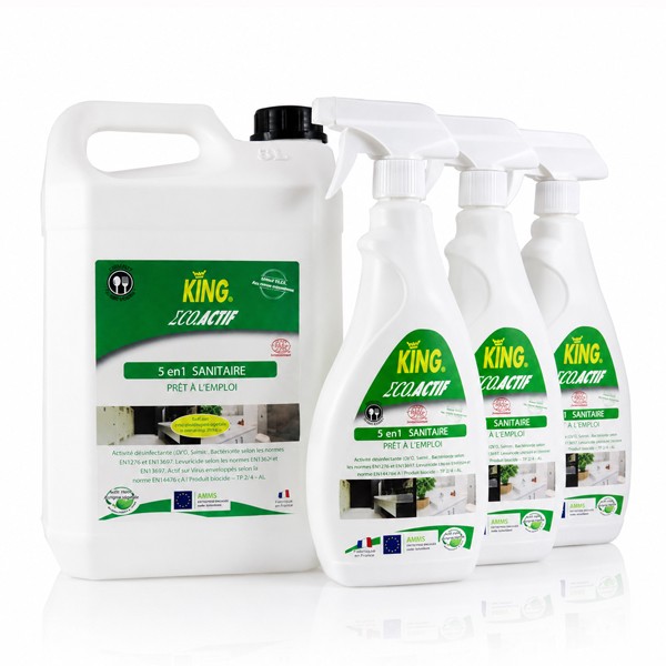 P01462 - Pack Ecoactif 5 en 1  Menthe Acide lactique Ecocert KING